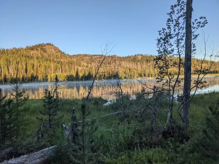 Twin Lakes Campground Picture 3