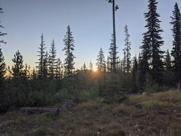 Twin Lakes Campground Picture 2