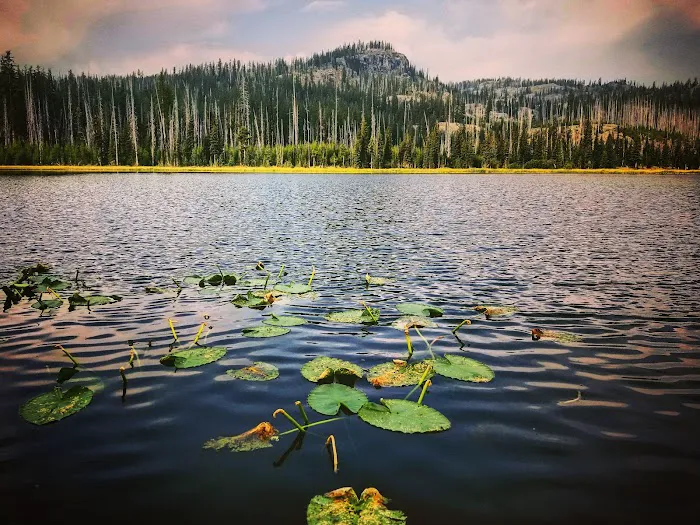 Twin Lakes Campground Picture 10
