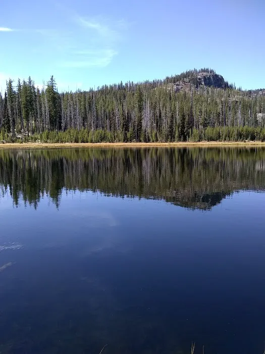 Twin Lakes Campground Picture 8