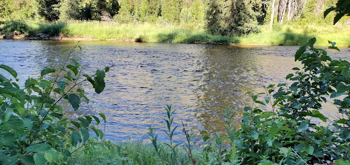Ice Hole Campground Picture 3