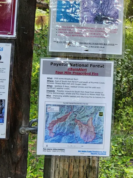 Poverty Flat Campground Picture 3