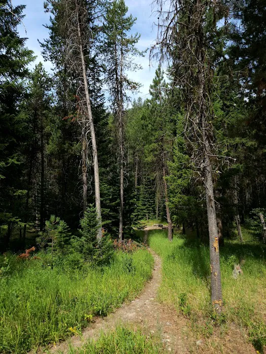 Poverty Flat Campground Picture 5