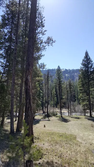 Poverty Flat Campground Picture 1