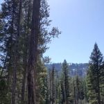 Poverty Flat Campground