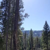 Poverty Flat Campground ico