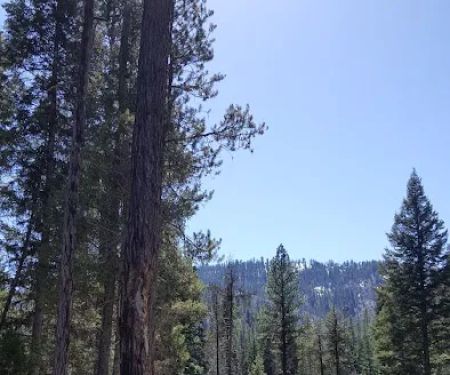 Poverty Flat Campground