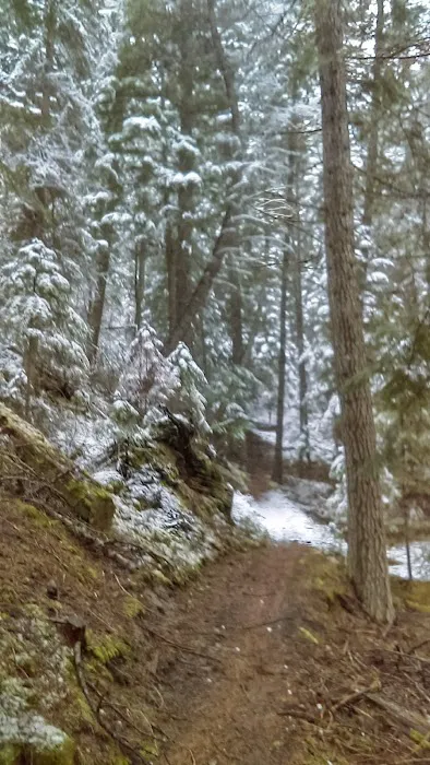 Poverty Flat Campground Picture 2