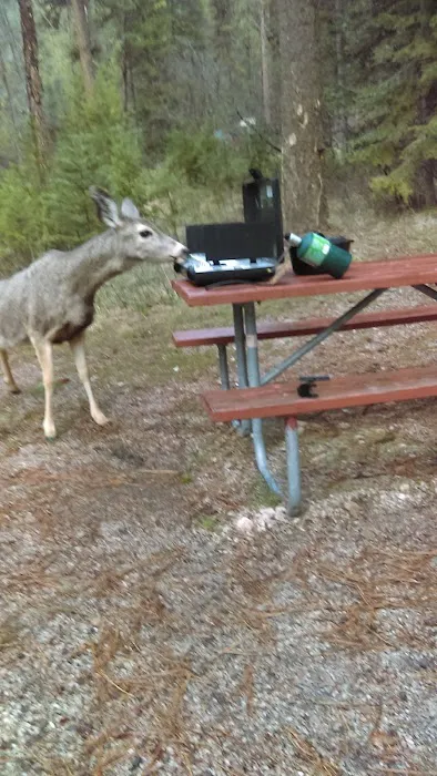 Poverty Flat Campground Picture 7