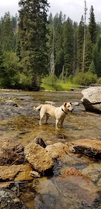 Poverty Flat Campground Picture 10