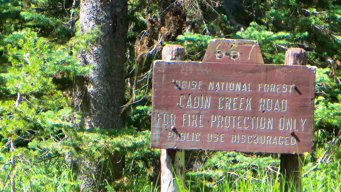 Trout Creek Campground Picture 2
