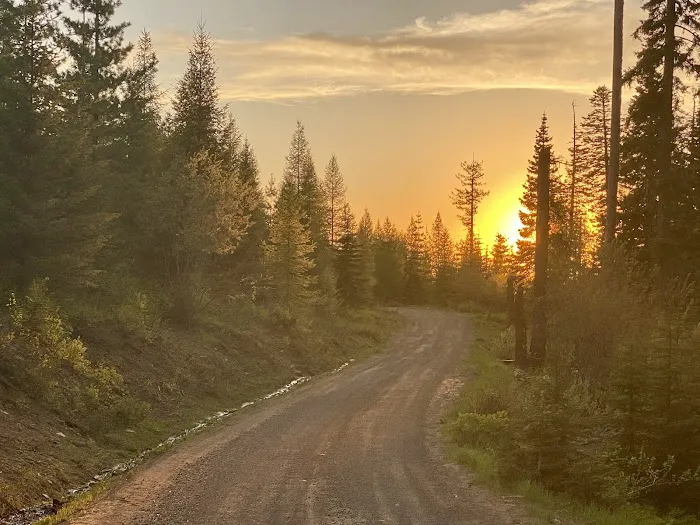 Fox Hill Campground Picture 5