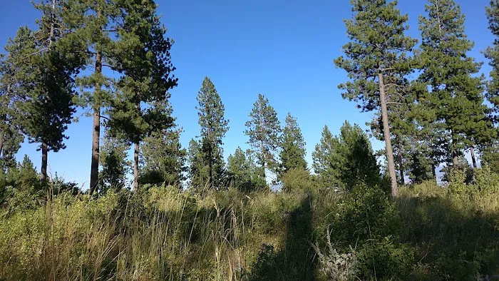 Fox Hill Campground Picture 9
