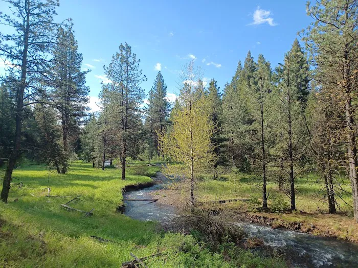 Spring Creek Campground Picture 4