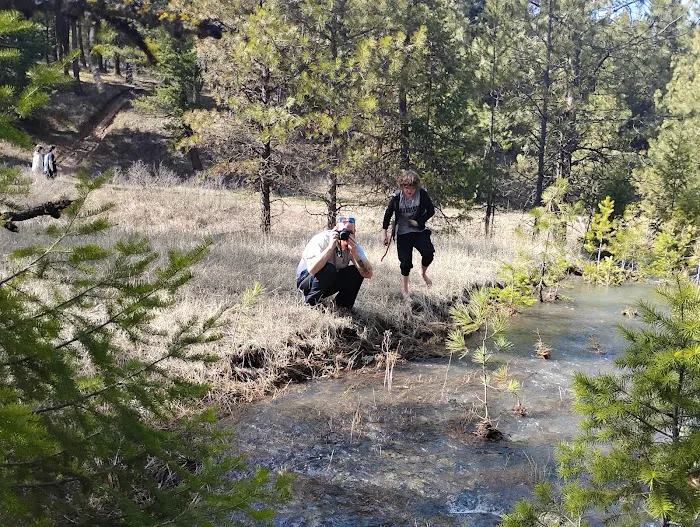 Spring Creek Campground Picture 8