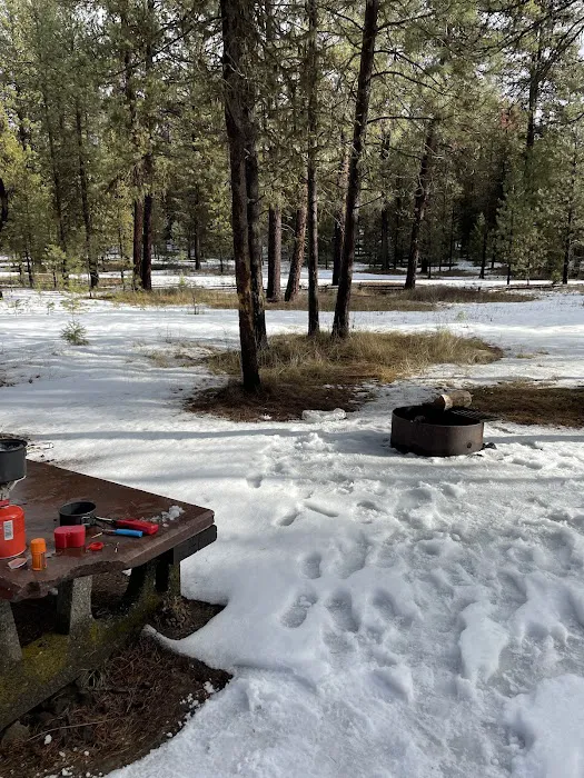 Spring Creek Campground Picture 5