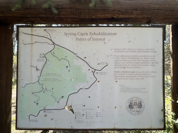 Spring Creek Campground Picture 7