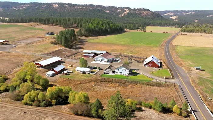 R.R Ranch 🌲 Picture 6