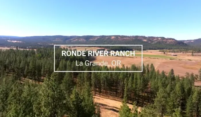 R.R Ranch 🌲 Picture 7