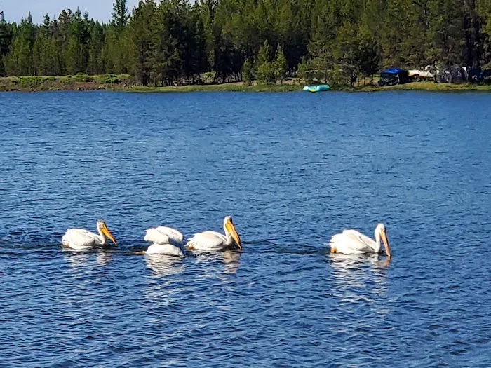 Indian Lake Campground Picture 8