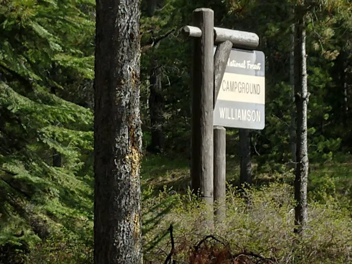 Williamson Campground, USFS Picture 1