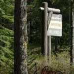 Williamson Campground, USFS
