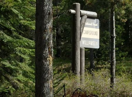 Williamson Campground, USFS