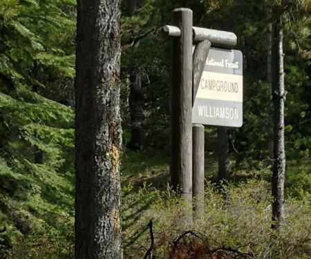 Williamson Campground, USFS