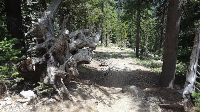 Williamson Campground, USFS Picture 2
