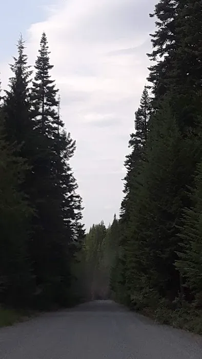 Williamson Campground, USFS Picture 3