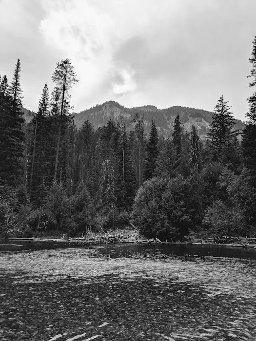 Williamson Campground, USFS Picture 10