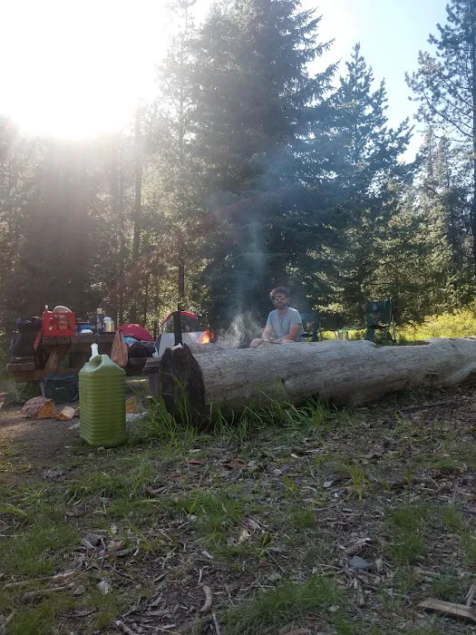 Williamson Campground, USFS Picture 7