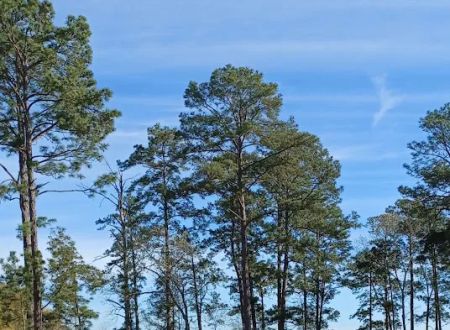 Westwood RV Park