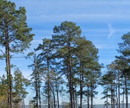 Westwood RV Park