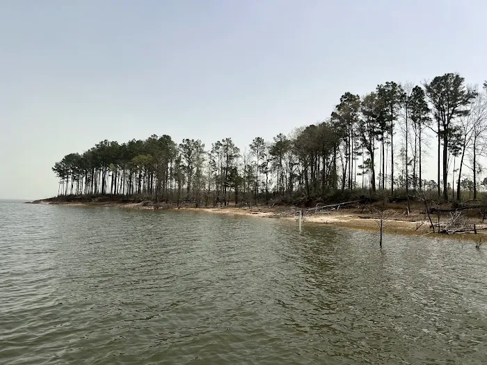 Caney Creek Recreation Area - Angelina National Forest Picture 8