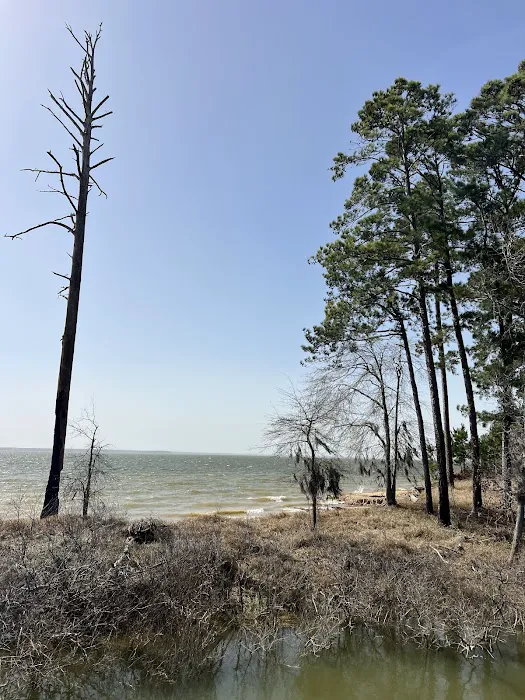 Caney Creek Recreation Area - Angelina National Forest Picture 10