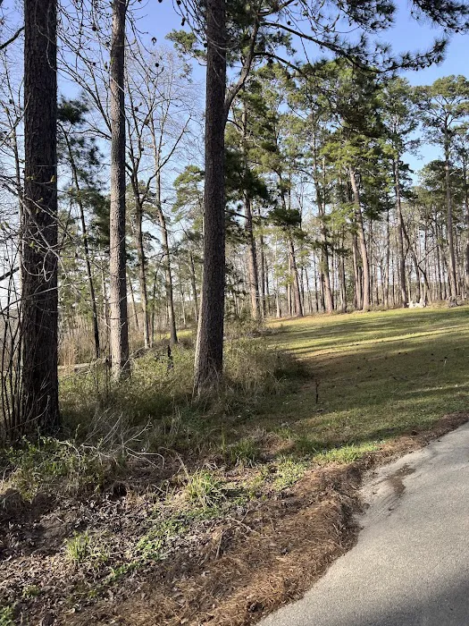 Caney Creek Recreation Area - Angelina National Forest Picture 4