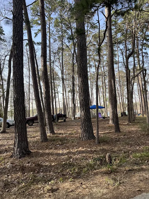 Caney Creek Recreation Area - Angelina National Forest Picture 6