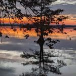 Martin Dies, Jr. Campground