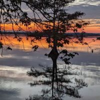 Martin Dies, Jr. Campground ico