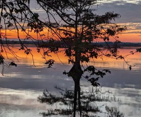 Martin Dies, Jr. Campground