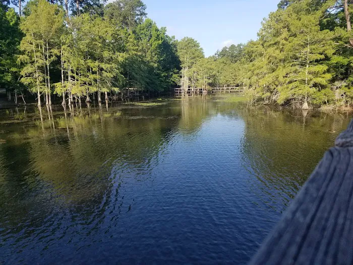Martin Dies, Jr. Campground Picture 5