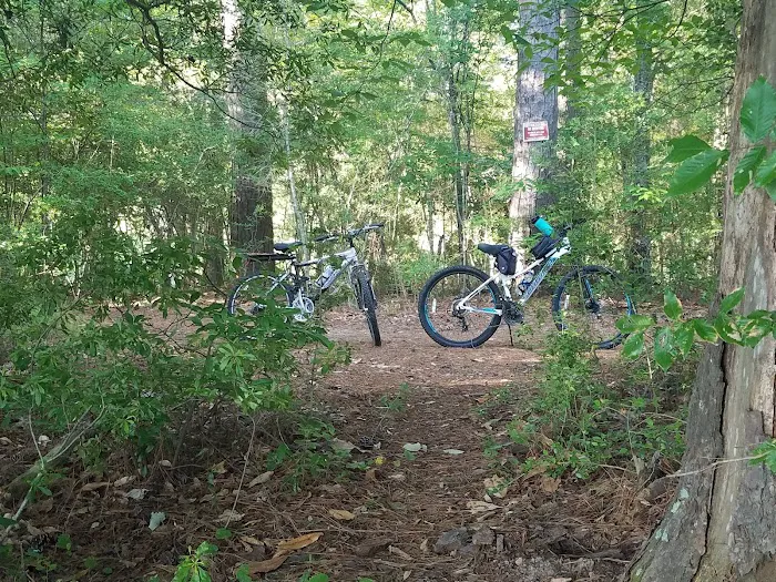 Martin Dies, Jr. Campground Picture 8