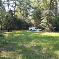 Bouton Lake Campground - Angelina National Forest ico