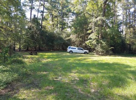 Bouton Lake Campground - Angelina National Forest