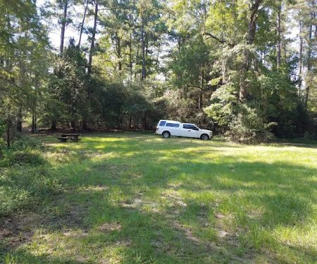 Bouton Lake Campground - Angelina National Forest