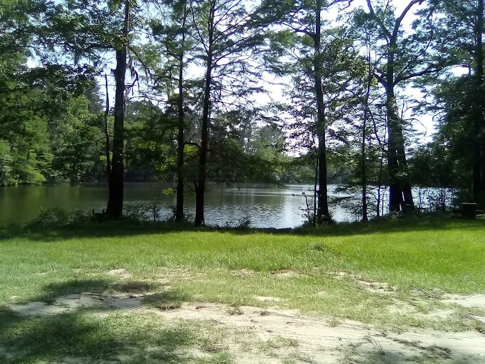 Bouton Lake Campground - Angelina National Forest Picture 7