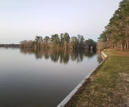 Walnut Ridge Unit, Martin Dies JR State Park