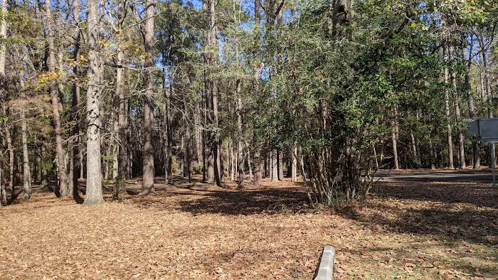 Walnut Ridge Unit, Martin Dies JR State Park Picture 6