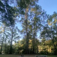 Campsite #313 ico